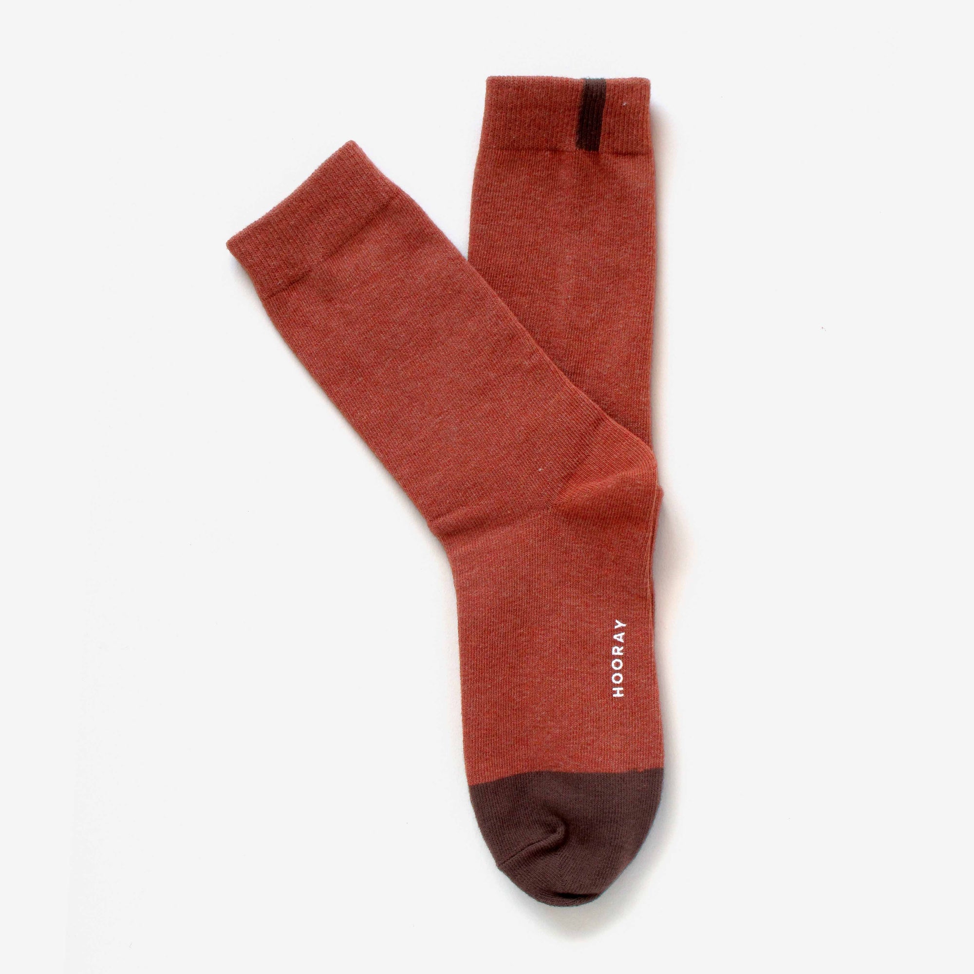 Duboce brown cotton crew sock – back view highlighting the two-tone color design